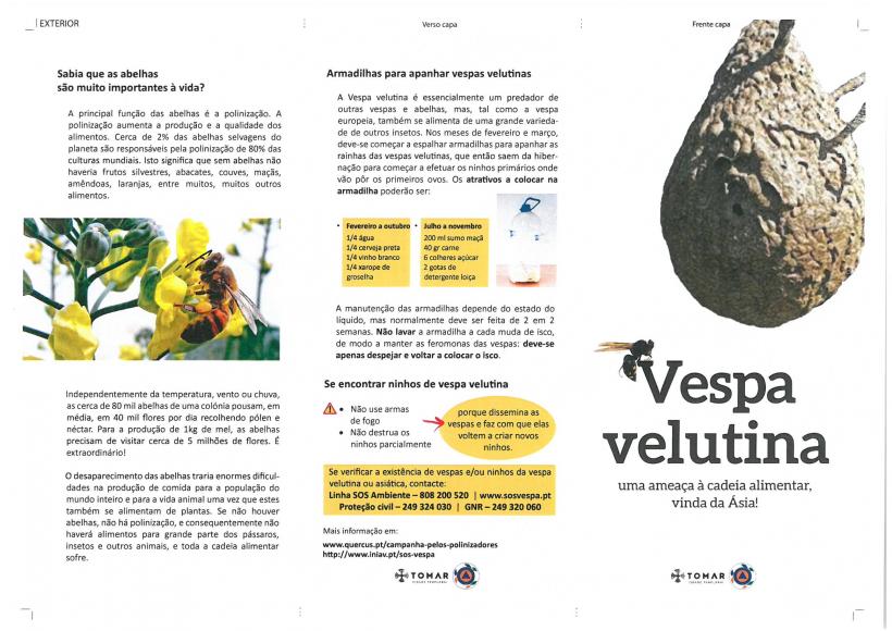 Armadilha Vespa Velitina